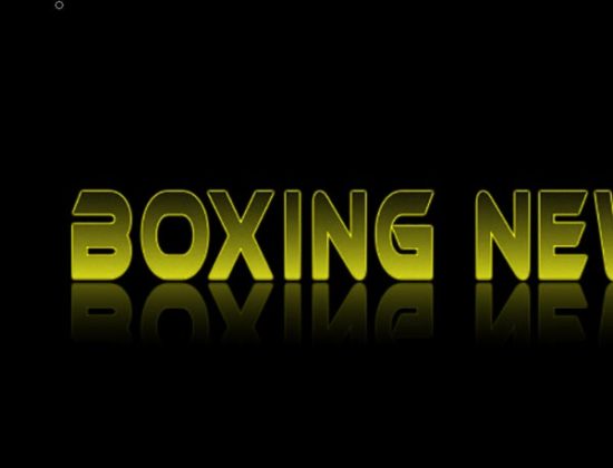 Boxing News 24