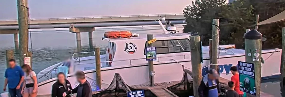 Tarpon Feeding Dock at Robbie’s Marina in Islamorada