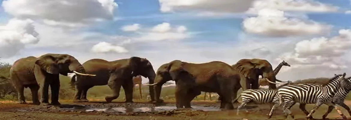 ol Donyo Lodge – Kenya